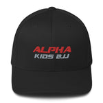 Load image into Gallery viewer, Alpha Kids Fitted Structured Twill Cap
